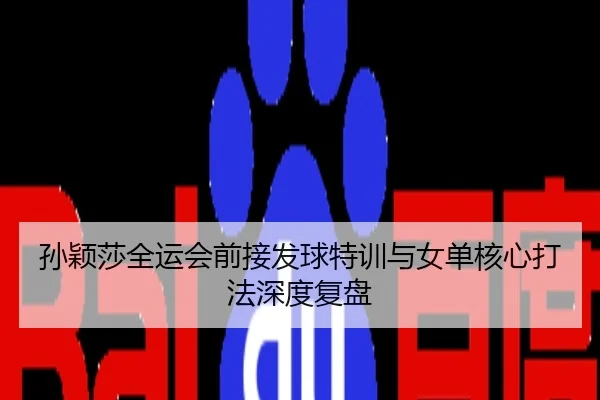 孙颖莎全运会前接发球特训与女单核心打法深度复盘